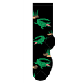 Alligator