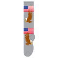 American Flag & Eagle