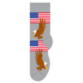 American Flag & Eagle