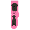 Black Lab