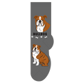 Bulldog