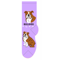 Bulldog