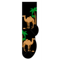 Camels