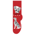 Dalmatian