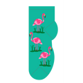Flamingos