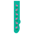 Flamingos