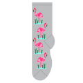 Flamingos