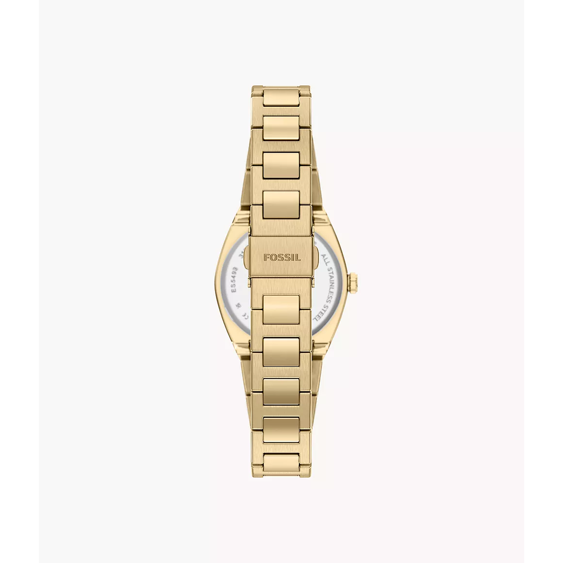 Fossil - Everett