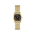 Fossil - Harlow