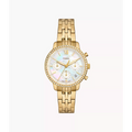 Fossil - Neutra Chronograph