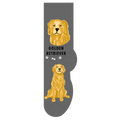 Golden Retreiver