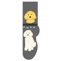 Goldendoodle