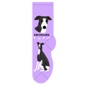 Greyhound