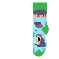 Hippos