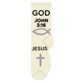 John 3:16