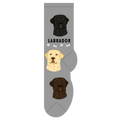 Labrador
