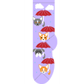Raining Cats & Dogs