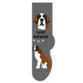 Saint Bernard