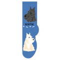 Scottie