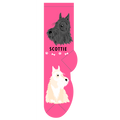 Scottie
