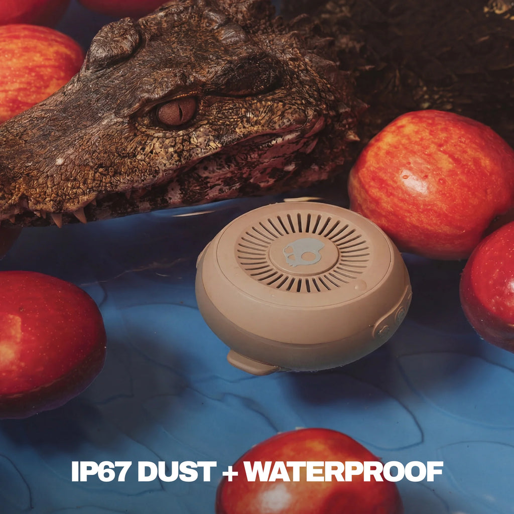 SKULLCANDY Session 360 Wireless Speaker, Primer