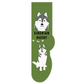 Siberian Husky