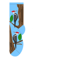 Woodpeckers