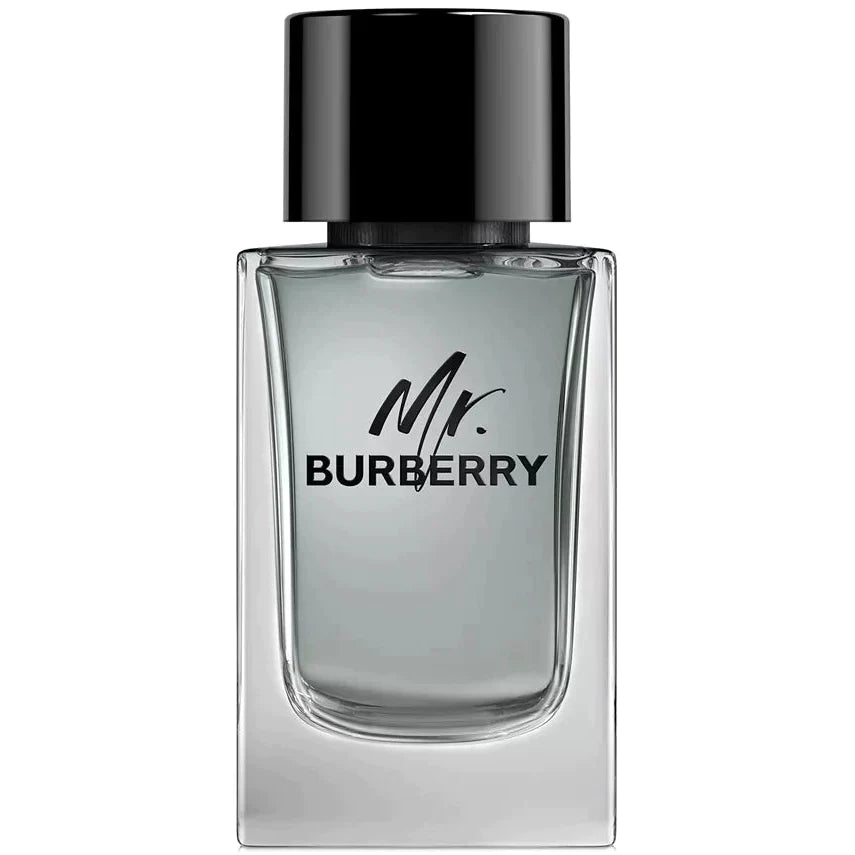 BURBERRY - Mr. Burberry Eau de Toilette, 3.3 oz